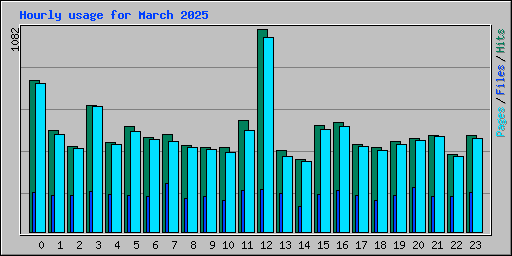 Hourly usage for March 2025