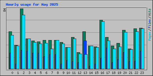 Hourly usage for May 2025