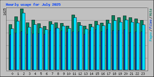 Hourly usage for July 2025
