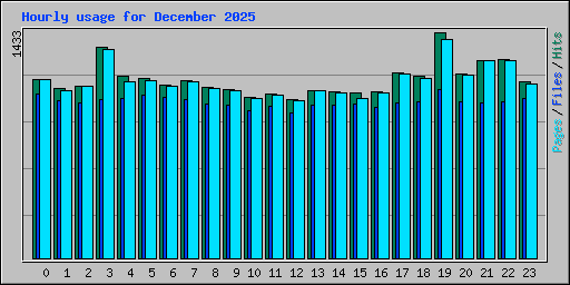 Hourly usage for December 2025