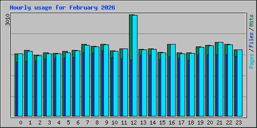 Hourly usage for February 2026