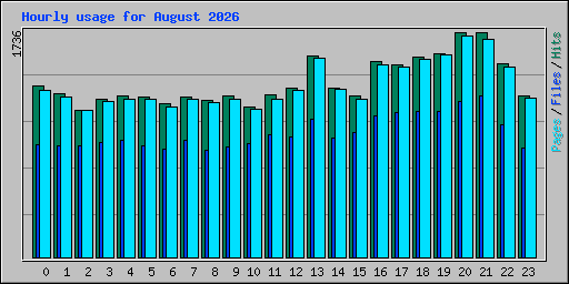 Hourly usage for August 2026